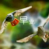 拥抱20350头像