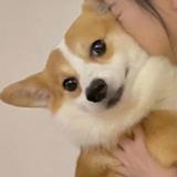 一言不发东某人头像