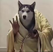 甜宝瓶的个人资料头像