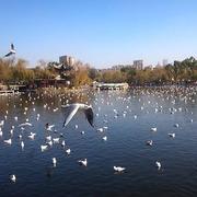 远航547的个人资料头像