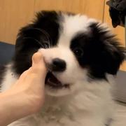 灼灼888的个人资料头像