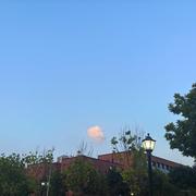 向上的心的个人资料头像