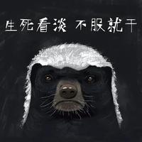 俊俏花猫V6头像