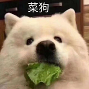 Rita今天学前端了吗的个人资料头像