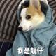 用户834520106007头像