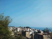 我是小杨的个人资料头像