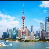 上海安亭388头像
