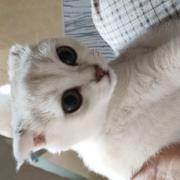 him的个人资料头像