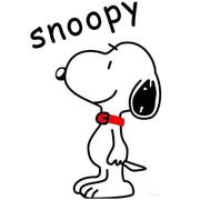 snoopy勇的个人资料头像