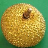 不带刺的榴莲R头像