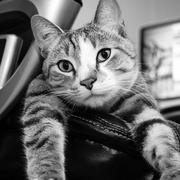 孙佩的个人资料头像