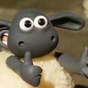 chenruiiiii的个人资料头像