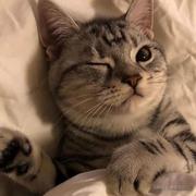 欧尼万的个人资料头像