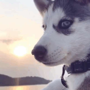 huoliren2010的个人资料头像