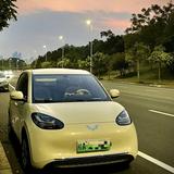 一颗绿毛球头像