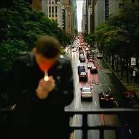 认真的熊猫6120头像