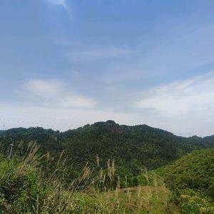 极客电脑蓝屏头像