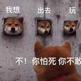 用户1775351128067头像