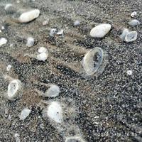 用户6032322104839头像