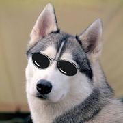 三木一森的个人资料头像