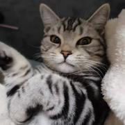 前端小于的个人资料头像