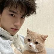 全岛铁盒447的个人资料头像