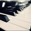 月明星稀在掘金111111的个人资料头像