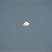 十秒钟的个人资料头像