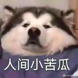 ArsenalFCTA6头像