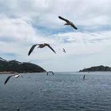 不语却知心2751头像