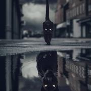 wesley933的个人资料头像