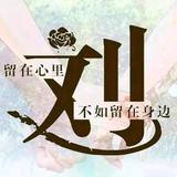 毛毛……我很忙！头像