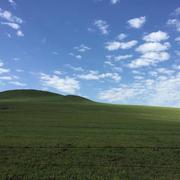 端庄古语的个人资料头像