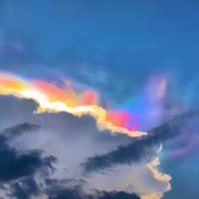 lw335的个人资料头像