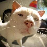 Fredxingxing的个人资料头像