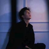 淡泊的云朵Zx头像