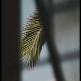 己海文化头像