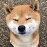 夏虫不可语冰9001头像