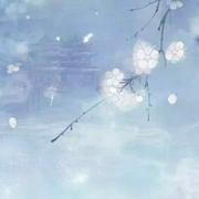 倾玖歌的个人资料头像