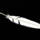 J_白的个人资料头像