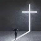 Astrofox的个人资料头像