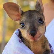 Getenoughsleep的个人资料头像