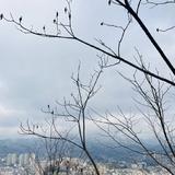 君醉882头像