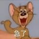 头条菊花狗子多头像