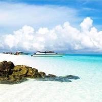 石头郭洪兴头像