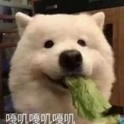 KB61的个人资料头像