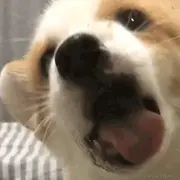 给你俩小拳头的个人资料头像
