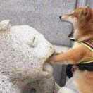 你被群主踢出该群的个人资料头像