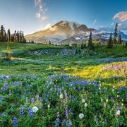 仕清的个人资料头像