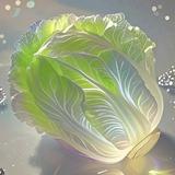 一念清风云头像